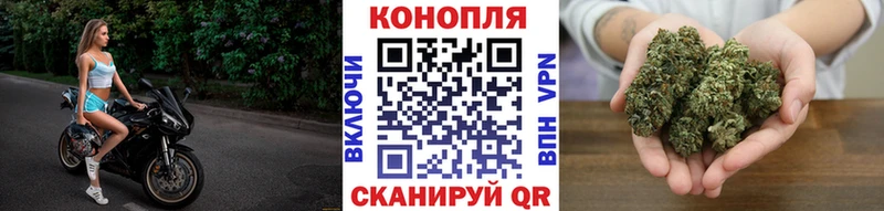 Купить наркотик Волосово Кокаин  Бутират  A PVP  NBOMe  Мефедрон  Псилоцибиновые грибы  ГАШИШ 