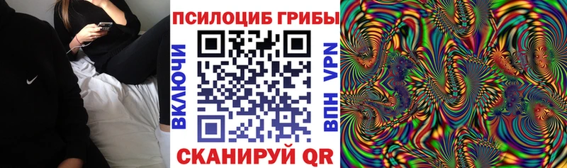 Псилоцибиновые грибы Magic Shrooms  Волосово 