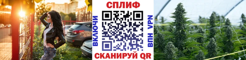 Конопля VHQ  Волосово 